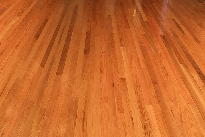 8 Most Popular Types Of Wood Floor Finishes High Tech Innovations